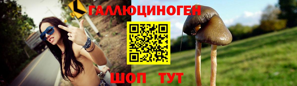 Галлюциногенные грибы мухоморы Волхов