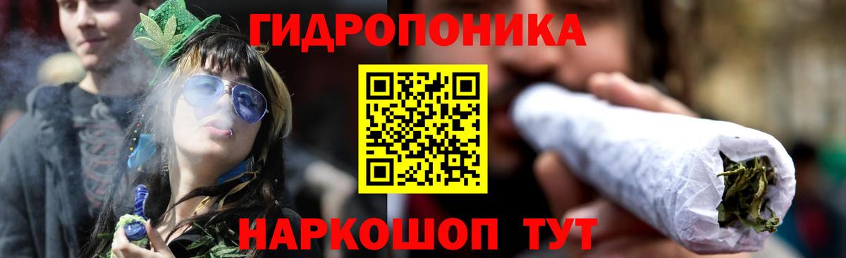 Волхов  Бошки марихуана AK-47  Вход с VPN  Бошки Шишки Bruce Banner  Бошки марихуана Amnesia  Марихуана марихуана 
